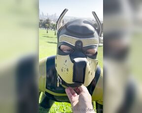 Kristofer Weston aka kristoferweston - 05-09-2021 OnlyFans Video - I had a great time taking leathergriffin on a walk through the streets of SF in_1wk6