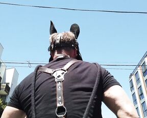 Kristofer Weston aka kristoferweston - 06-13-2021 OnlyFans Video - We had a blast at Folsom Second Saturdays giving pony rides yesterday