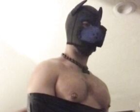 Kristofer Weston aka kristoferweston - 06-22-2021 OnlyFans Video - That time I wrapped musclepupbadge up in cellophane and teased his huge cock