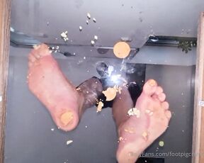 Footpigcrusher aka footpigcrusher OnlyFans - Underglass crushing crunchy stuff, barefoot What would you like to see get crushed underglass Unfortunately,