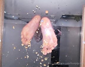 Footpigcrusher aka footpigcrusher OnlyFans - Underglass crushing crunchy stuff, barefoot What would you like to see get crushed underglass Unfortunately,